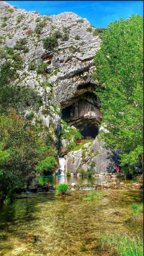 Casa Rural Las Rosas De Benaoján Екстериор снимка